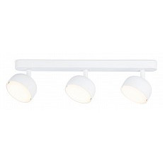 Спот ambrella light tn tn71015